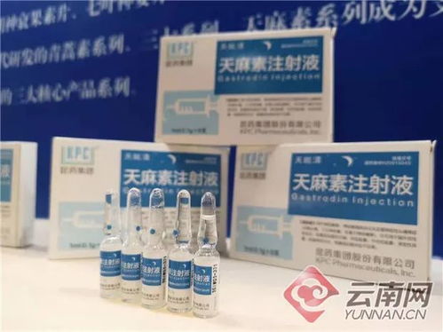 云南這8家生物醫藥上市公司憑什么這么牛