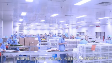 迪沙菲密亞幫您打造自己的品牌!藥廠源頭代工、網紅代餐貼牌首選迪沙
