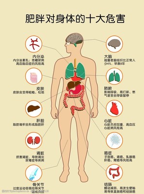 肥胖對身體的十大危害