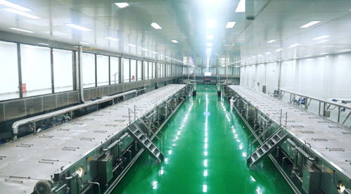 健康榨菜新標桿品質溯源,烏江輕鹽榨菜智慧工廠開展 云探廠